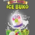 PINOY PINAY ICE BUKO HALO HALO 10X140ML